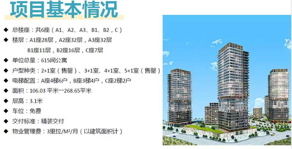 土耳其护照艾迪姆公馆项目